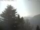 Leysin 09.06.2025 08:51