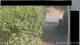 Hasloch 04.08.2026 08:54