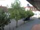 Rimbach 30.04.2025 08:45