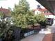 Rimbach 09.06.2025 08:45