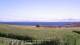 Laukvik 14.07.2025 08:56