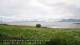 Laukvik 03.07.2025 08:52