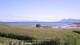 Laukvik 16.07.2025 08:56