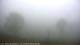 Nellysford, Virginia 17.04.2025 08:48