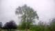 Harriman, New York 15.06.2025 08:51