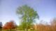Harriman, New York 30.04.2025 08:51