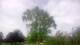 Harriman, New York 01.07.2025 08:51