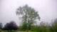 Harriman, New York 08.06.2025 08:51
