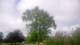 Harriman, New York 15.07.2025 08:51