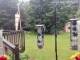 Central Lake, Michigan 05.07.2025 09:52