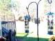 Central Lake, Michigan 08.05.2025 09:52