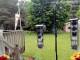 Central Lake, Michigan 14.06.2025 09:52