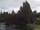 Son en Breugel 15.06.2025 09:46
