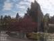Son en Breugel 25.03.2025 09:46