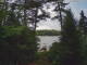 Hoel Pond, New York 14.07.2025 09:58