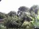Audley 20.06.2025 09:53