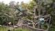 San Diego, California 03.07.2025 09:53