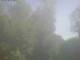 Ittigen 09.07.2025 09:46