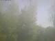 Ittigen 30.04.2025 09:46