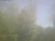 Ittigen 30.04.2025 09:46