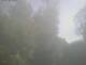 Ittigen 05.07.2025 09:46