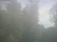 Ittigen 15.06.2025 09:46