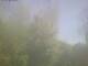 Ittigen 29.04.2025 09:46