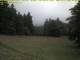 Inselsberg 10.07.2025 09:53