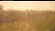 Beerfelden 09.06.2025 09:54