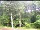 Hilversum 05.06.2025 09:54