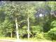 Hilversum 05.06.2025 09:54