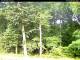 Hilversum 09.06.2025 09:54