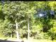 Hilversum 09.05.2025 09:54