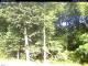 Hilversum 15.06.2025 09:53