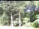Hilversum 15.06.2025 09:53