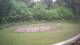 Tustin, Michigan 14.06.2025 09:53