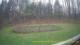 Tustin, Michigan 29.04.2025 09:54