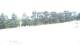Pittsburg, Illinois 14.07.2025 09:59