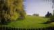 Ebersbach-Neugersdorf 29.04.2025 09:54