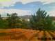 Pallini 30.04.2025 09:54