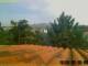 Pallini 17.03.2025 09:54