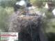 Aurach 30.04.2025 09:54