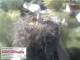 Aurach 30.04.2025 09:54