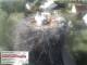 Aurach 08.05.2025 09:54