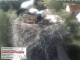 Aurach 15.06.2025 09:54