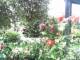 Cuxhaven 02.07.2025 09:54