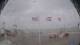 Lauwersoog 09.06.2025 09:54