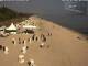 Heringsdorf (Usedom) 30.04.2025 09:55
