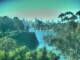 Linley Point 09.06.2025 09:55