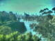 Linley Point 03.07.2025 09:54